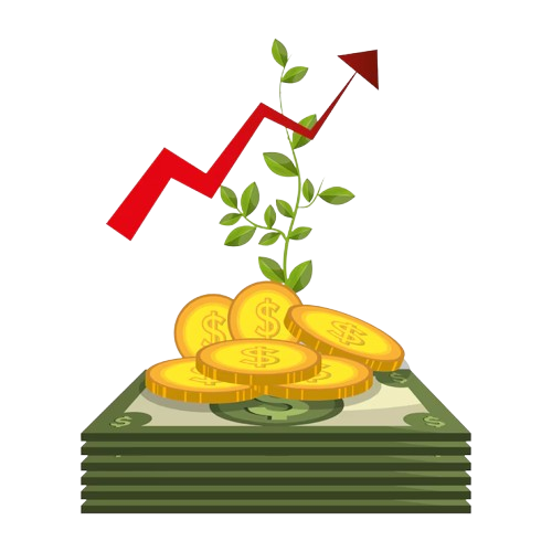 Investment